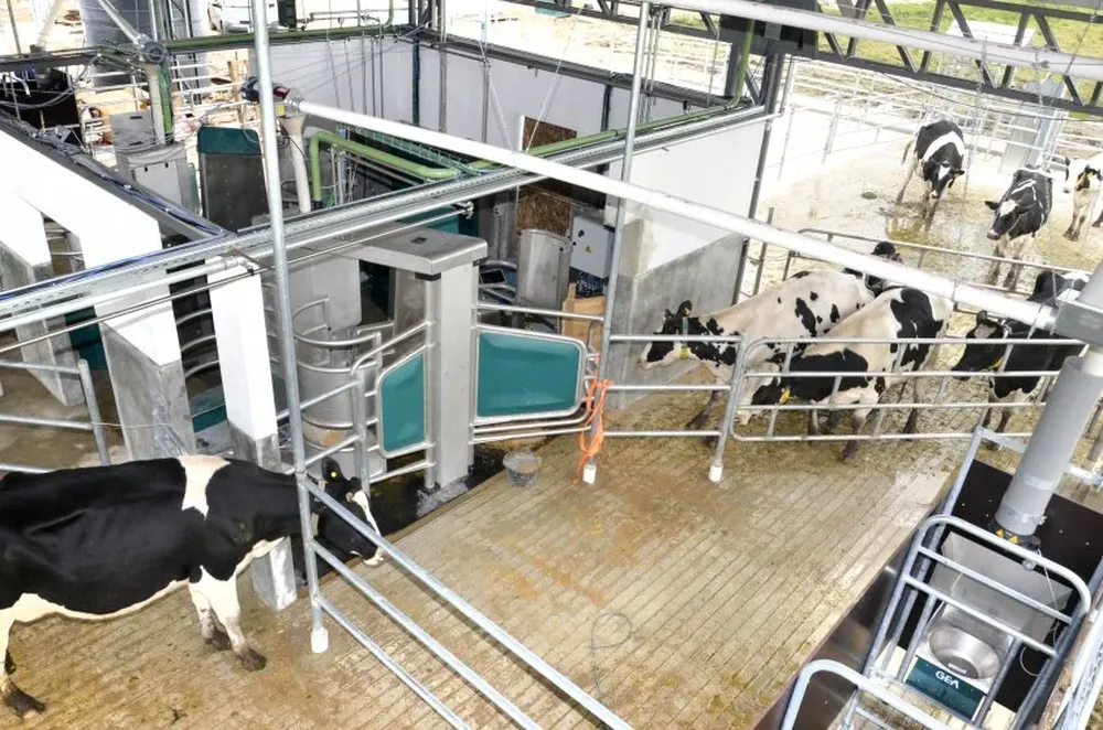 Tambo robotizado del INIA en La Estanzuela (Colonia)