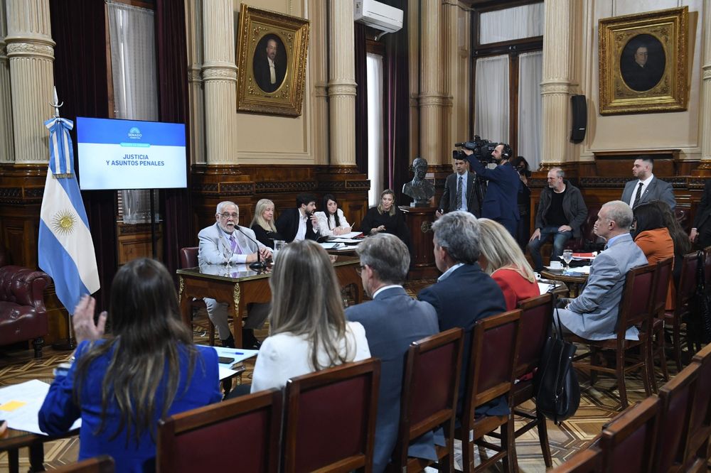 Después de un primer debate a principios de julio, este jueves se aprobó en el Senado un dictamen para tipificar el delito de la venta de menores en el Código Penal.