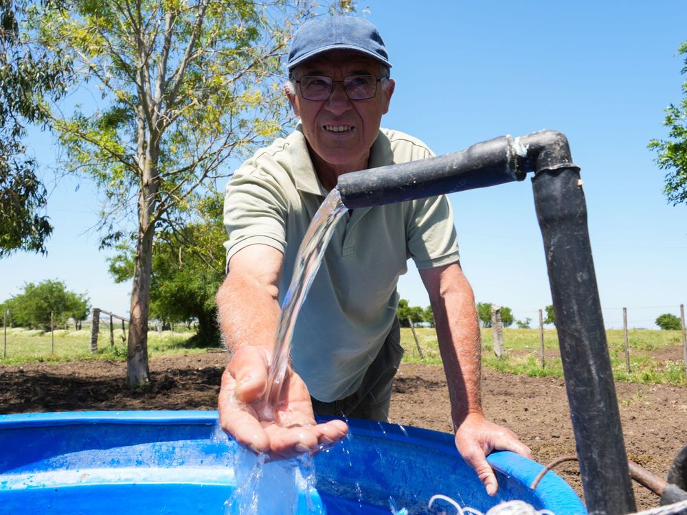 1768243983116-dsc00078