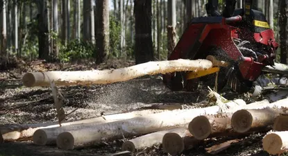 Agentes prevén inversión externa firme con empuje de Argentina