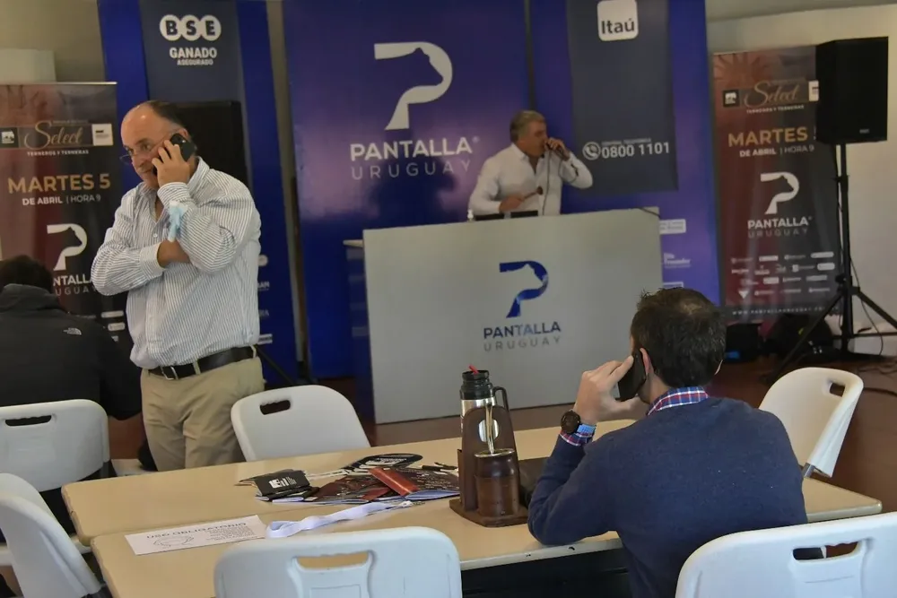 Todo pronto para un nuevo remate de Pantalla Uruguay, desde el LATU.