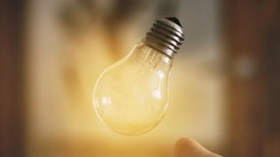 Comida para cerdos: los consensos en innovación que debe lograr Uruguay para no quedar condenado al subdesarrollo