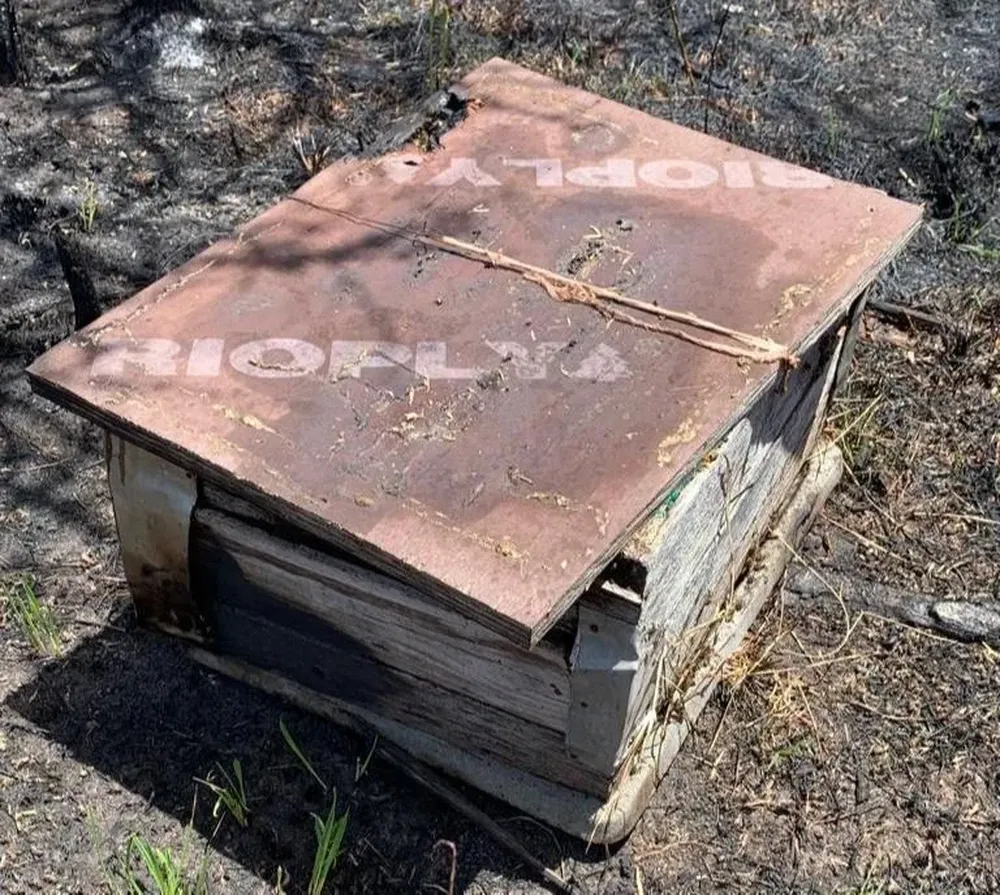 Una de las colmenas afectadas por los incendios en Paysandú y Río Negro.