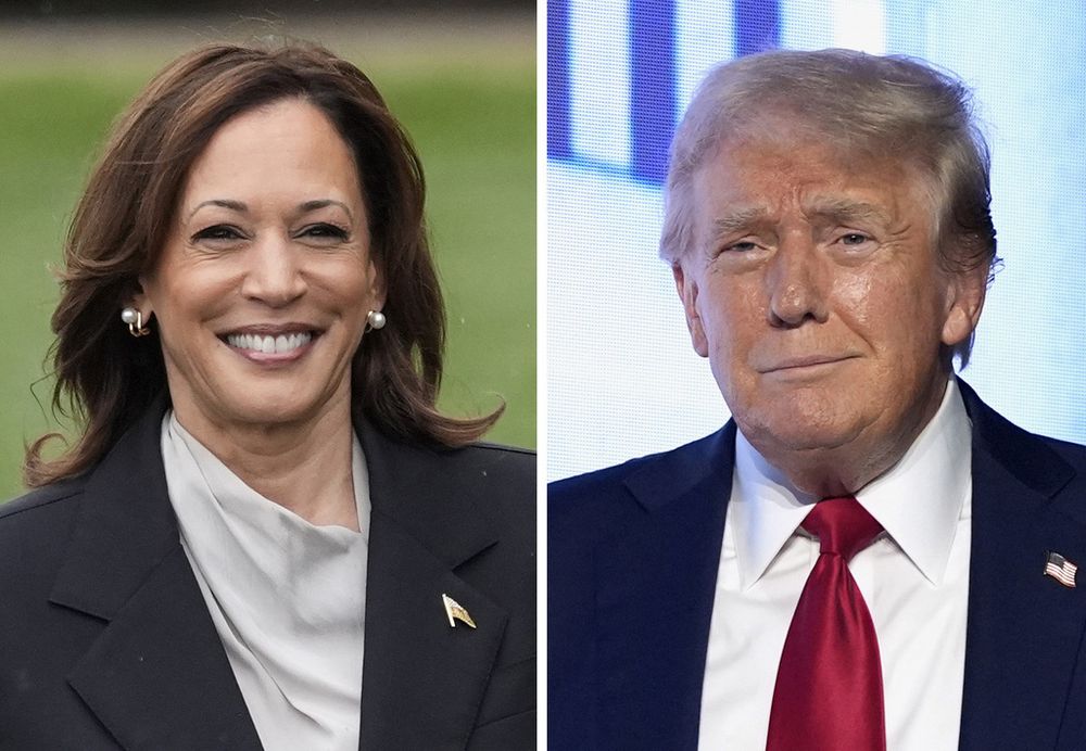 Kamala Harris lidera en las encuestas frente a Donald Trump