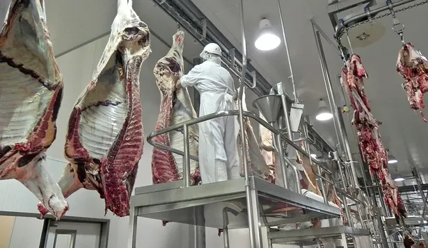 Producción industrial cayó en julio por tercer mes consecutivo