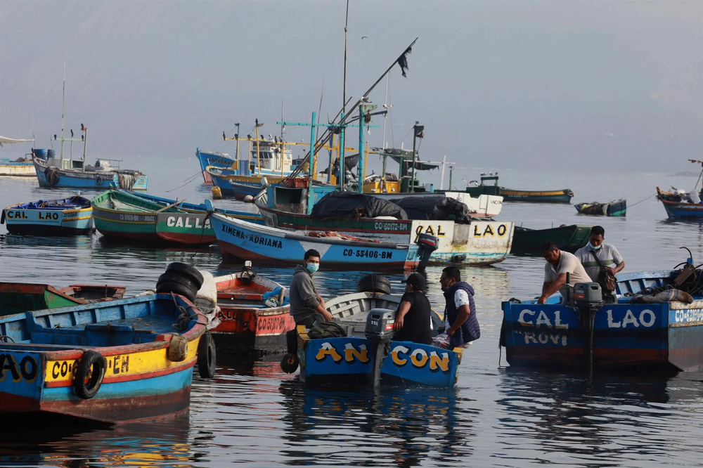 El sector de pesca en Perú presentó un importante crecimiento del 29,12% en comparación al mismo mes del 2024.