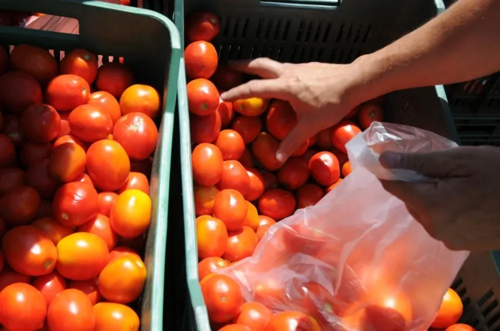 Creció el precio de los alimentos en la región