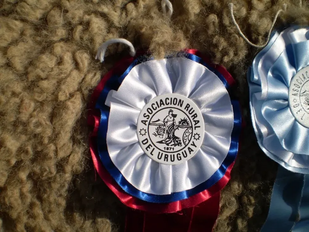 Se viene otra lluvia de las clásicas escarapelas a los mejores animales de la cabaña nacional.