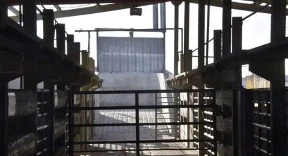 Foica activó un paro nacional en señal de duelo por el fallecimiento de un trabajador de la industria frigorífica.