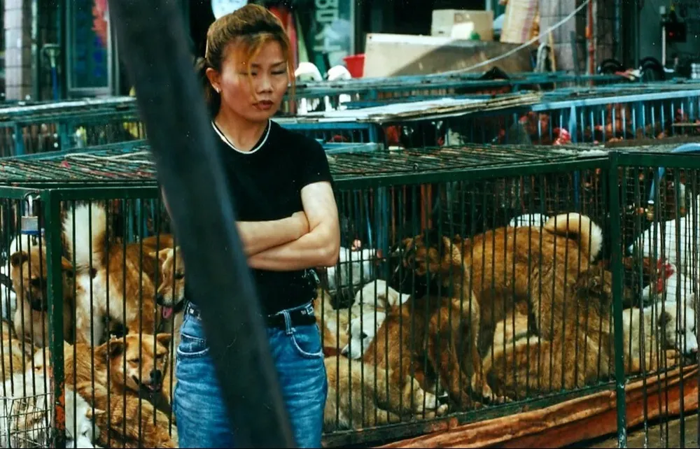 El consumo de carne de perro es una práctica culinaria arraigada en Corea del Sur, pero enfrenta una creciente oposición, sobre todo de la gente joven.