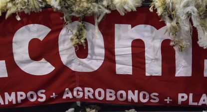 Uruguay es un tradicional exportador de lanas y carne de ovino.