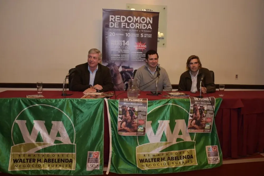 Luis Pedro Valdés, Joaquín Abelenda y Claudio Fernández en la conferencia