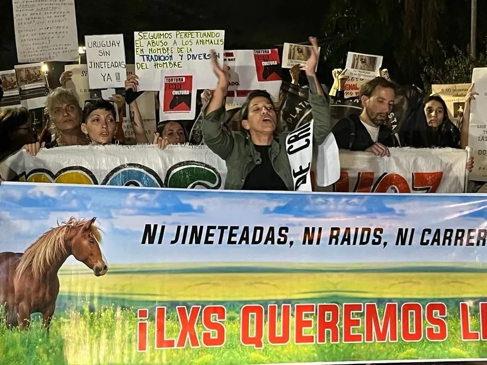 Los animalistas también reclamaron por otros espectáculos y actividades que involucran a animales