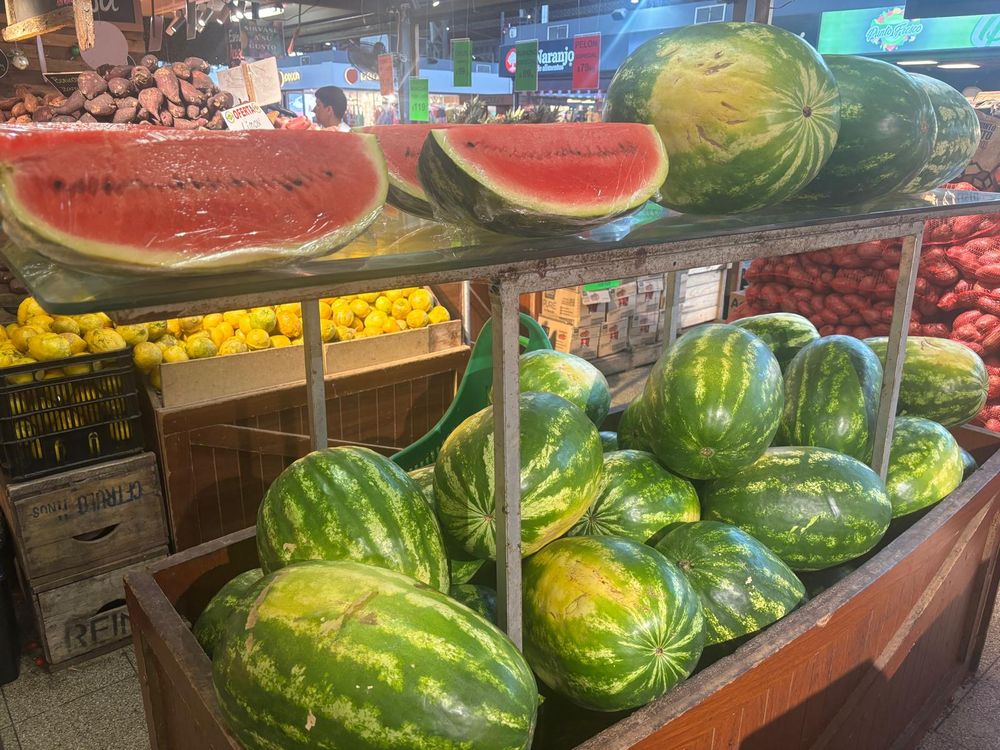 Observatorio Granjero: el precio de la sandía descendió y en el MAM está a $ 13 el kilo.
