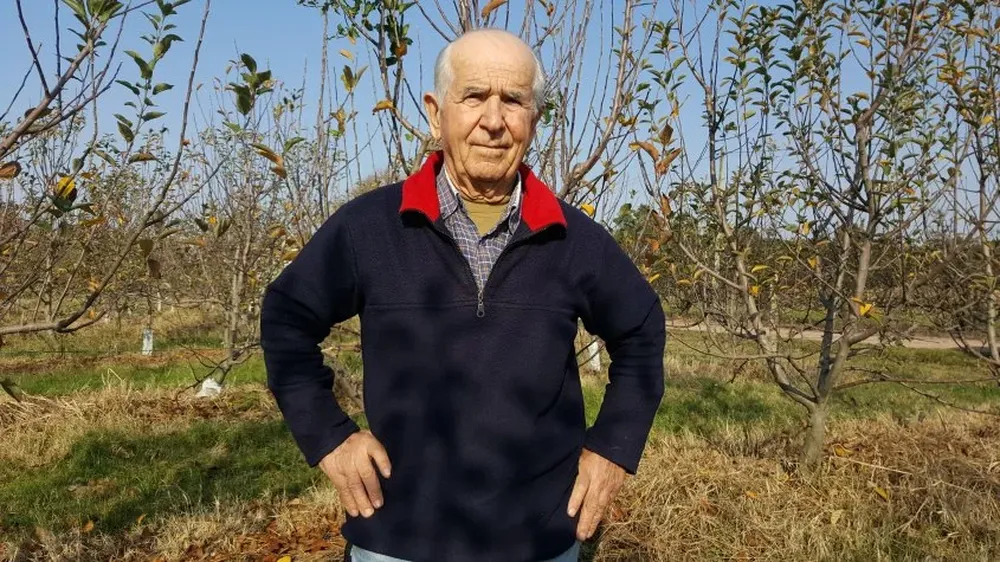 Mario Sabbatini Coacci