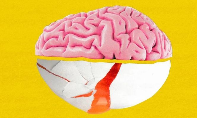 Qué es la colina, el nutriente que es vital para nuestro cerebro (y en qué alimentos se encuentra)