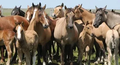 El Observador | 16su10-F2-2col.webp