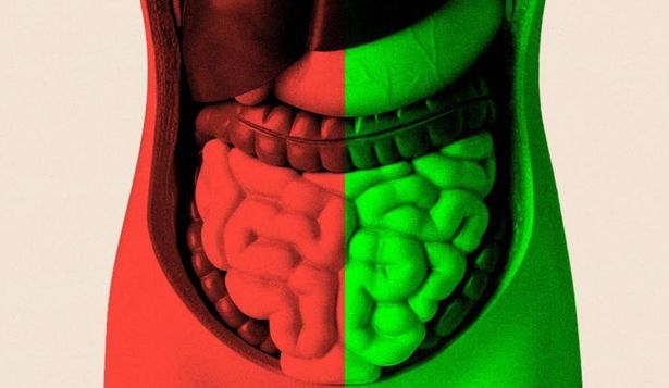 Pasé meses tratando de averiguar si mejorar mi salud intestinal podría ayudarme a envejecer mejor