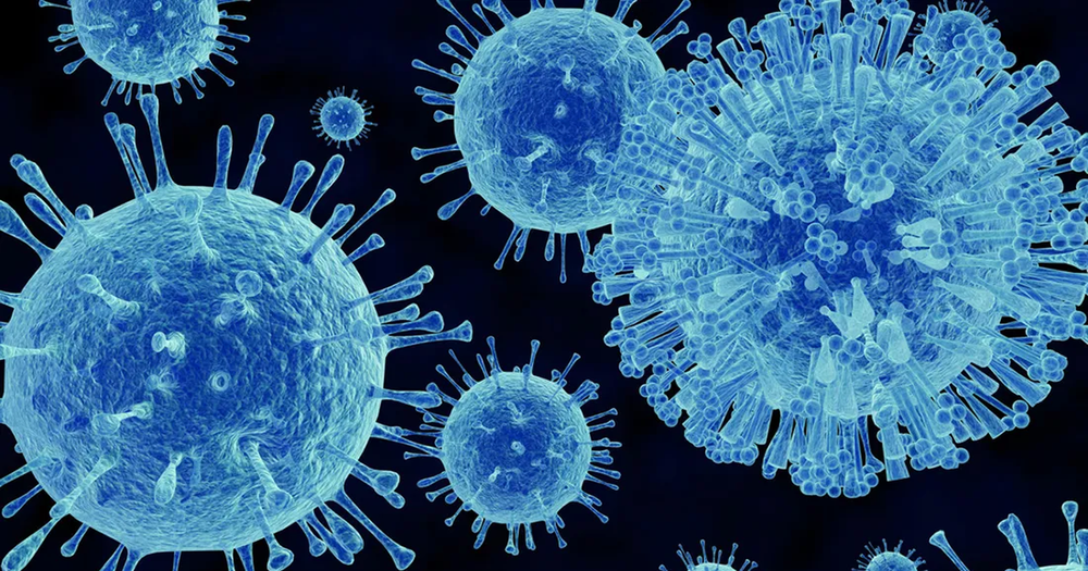 C&oacute;mo se transmite el norovirus.&nbsp;