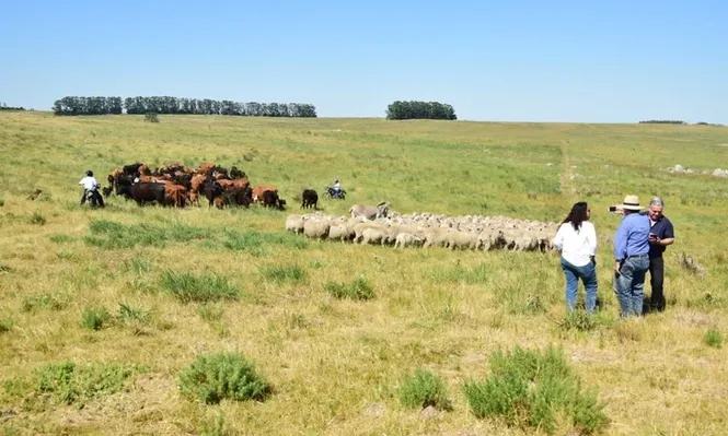Agro: la capacitación en tiempos de covid-19