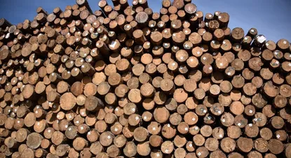 El Observador | _CDS6859.webp