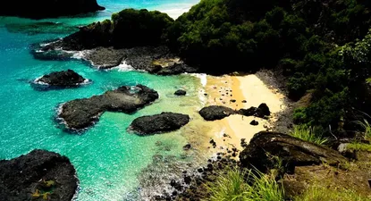 isla paradisiaca brasilena solo recibe turistas que hayan tenido coronavirus
