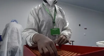 El Reglamento Sanitario Internacional que ha guiado el trabajo de la OMS desde 2005 no está diseñado para hacer frente a crisis de la envergadura de la del covid, según las autoridades de la organización internacional