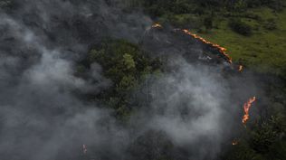 La Amazonía brasileña registró en septiembre el mayor número de incendios en 14 años