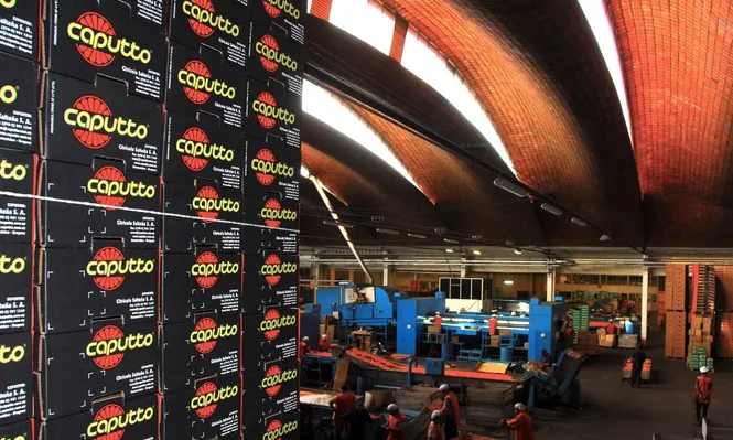 Caputto, el gigante citrícola que sigue dando dolores de cabeza a los gobiernos