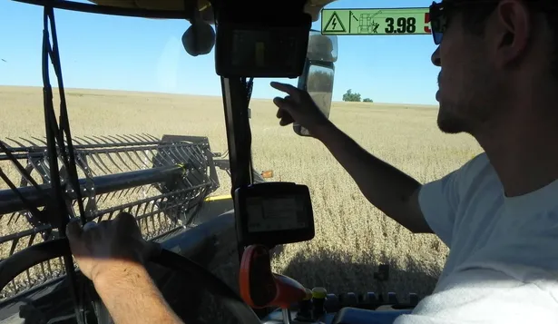 Agricultura: va concluyendo una cosecha soñada para los principales cultivos, soja y arroz.