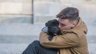 Los dueños deberán estar atentos a la orina de sus perros. 