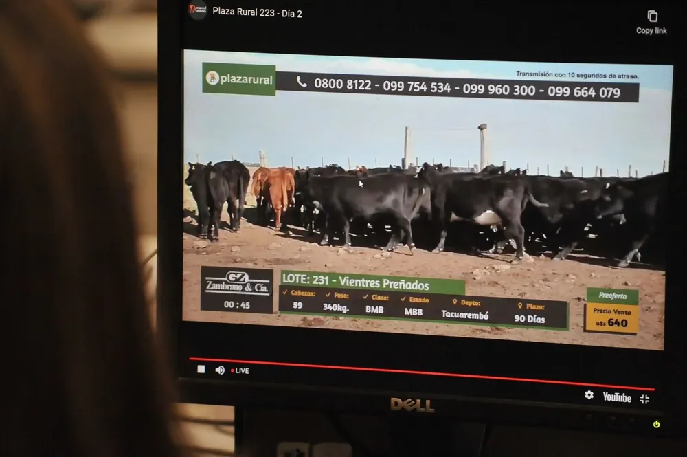 La venta de Plaza Rural se realizará en cuatro días por el gran volúmen de la oferta