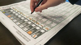 La BUP contendrá en una sola hoja toda la oferta electoral nacional del distrito.