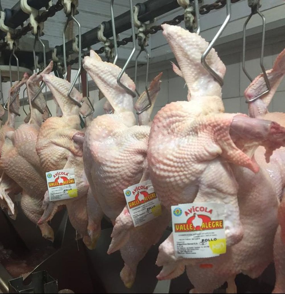 Precio del pollo: subió, pero está en niveles similares a los de hace un año.