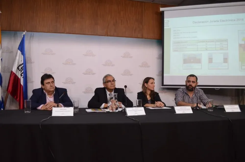 Pedro Soust, Enzo Benech, Amalia Álvarez y Facundo Souza.