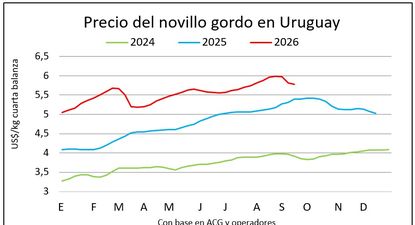 Mercado ganadero: así se ha movido el novillo.