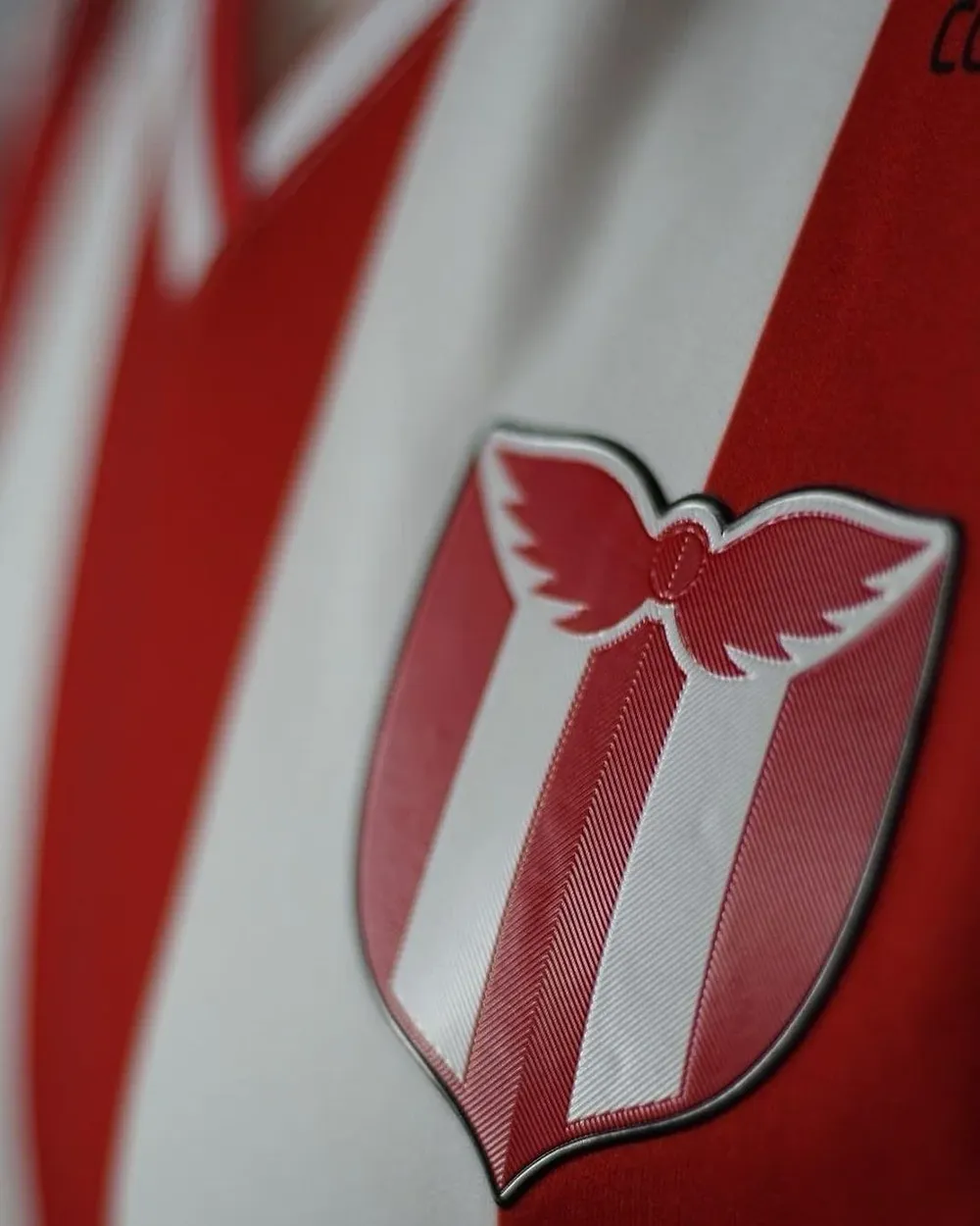 El robo se produjo en un complejo de juveniles de River Plate, cerca de Lezica