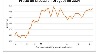 Mercado de granos, Blasina y Asociados.