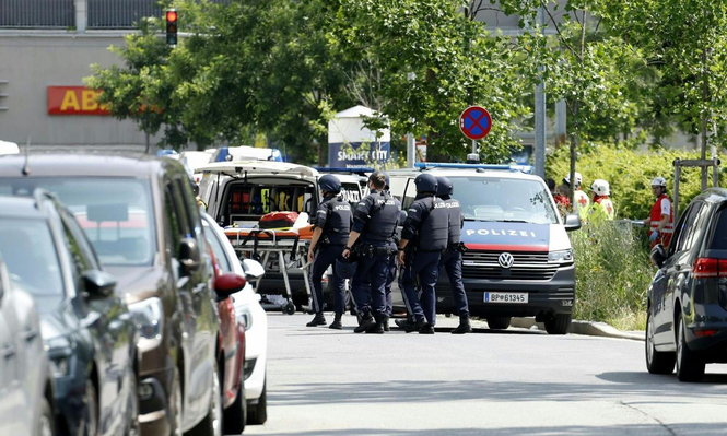 El autor del ataque que dejó diez muertos en una escuela de Austria es un exalumno de 21 años