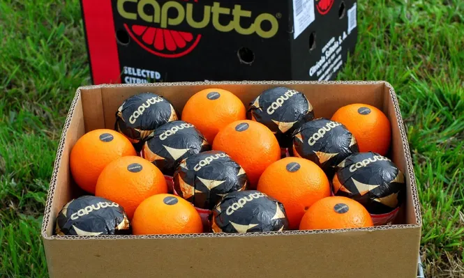 El inversor tomará el control de la empresa para el arranque de la nueva zafra.