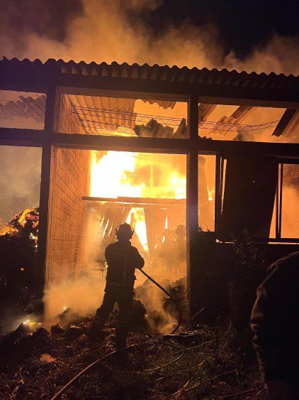 WhatsApp Image 2025-02-18 at 09.38.29.jpeg