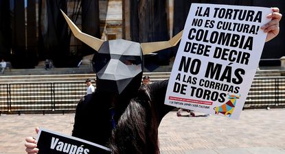 Un activista durante una manifestación contra las corridas de toros en Bogotá