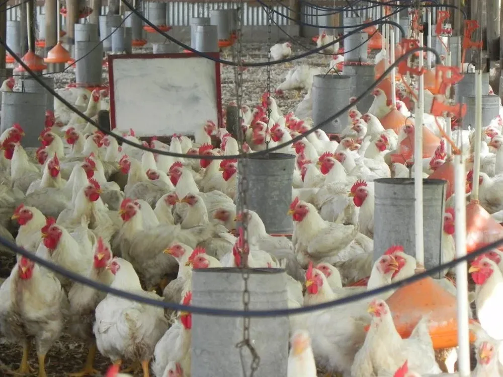 Industrias redujeron la cantidad de façoneros vinculados y/o el precio que les pagan.