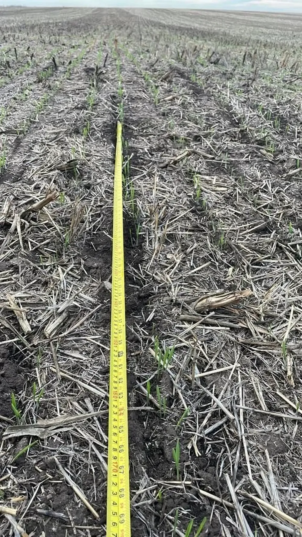 ADP mide el impacto ambiental de su actividad