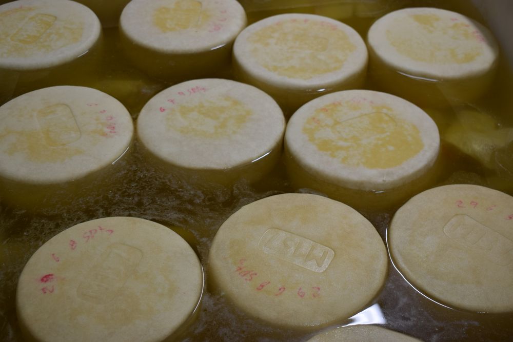 Sector quesero uruguayo convive con varias dificultades.