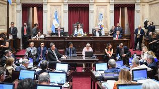 El Senado debate el Presupuesto 2026 por capítulos en medio de fuertes cruces entre oficialismo y oposición