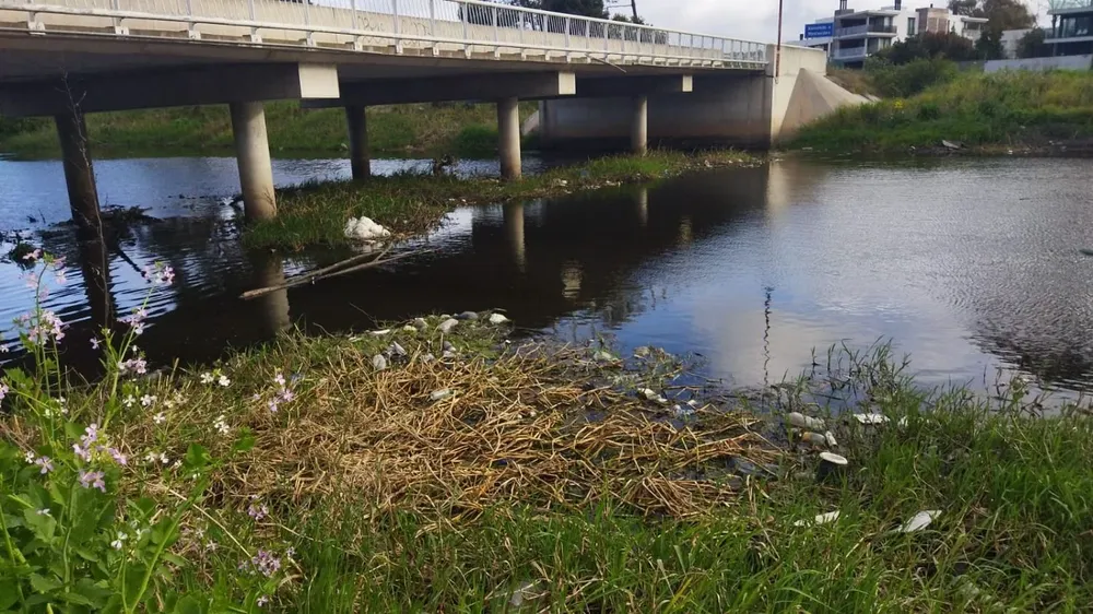 Las tareas de recolección de basura se harán en kayaks.