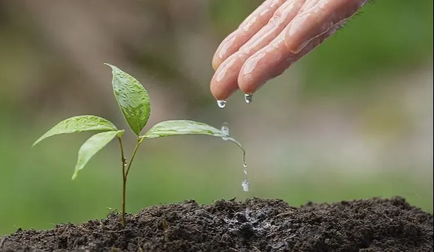 ORT y ONU lanzan Concurso de Ideas para Promover la Restauración de Ecosistemas