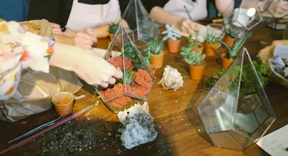 Workshop Terrarios - 14/3