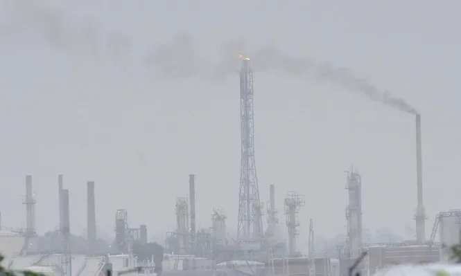 Uruguay avanzó a paso firme y seguro en la reconversión de su matriz energética